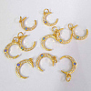 Brass Cubic Zirconia Charms ZIRC-P036-20-G02-RS-1