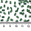 2-Hole Glass Seed Beads SEED-S031-M-SH127-2