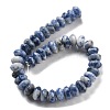 Natural Blue Spot Jasper Beads Strands G-P559-A15-02-3