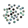 Paua Shell Cabochons SHEL-WH0001-002B-1