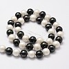 Shell Pearl Bead Strands BSHE-L017-13-2