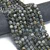 Natural Eagle Eye Stone Beads Strands G-K389-A02-01-2