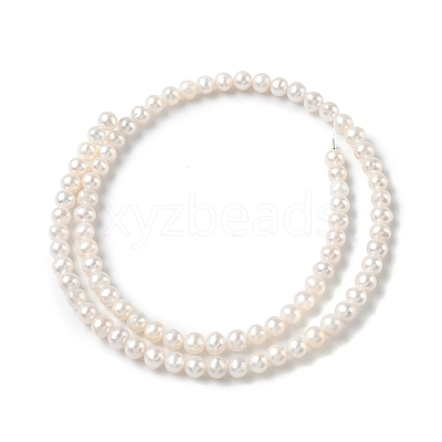 Natural Cultured Freshwater Pearl Beads Strands PEAR-C004-04-1
