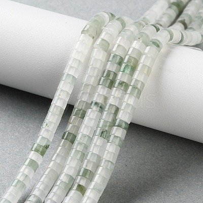 Natural Tianshan Cui Quartzite Beads Strands G-H230-65-1