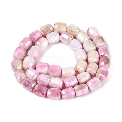 Anti-Tarnish Electroplate Glass Beads Strands EGLA-N027-03A-06-1