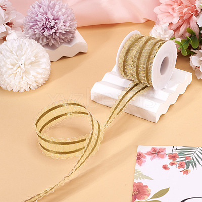 Polyester Lace Ribbon OCOR-TA0004-04E-1