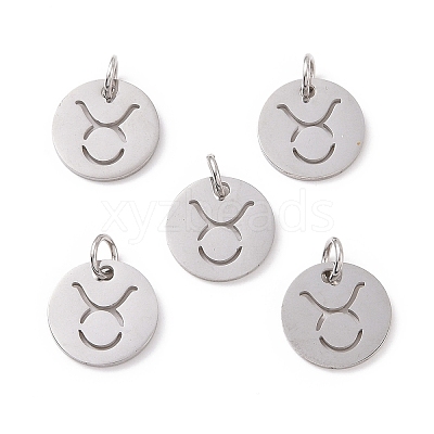 Non-Tarnish 304 Stainless Steel Charms STAS-Q201-T445-2S-1