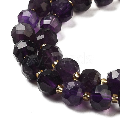 Natural Amethyst Beads Strands G-P508-A09-01-1