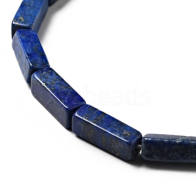 Natural Lapis Lazuli Beads Strands G-I326-04-1