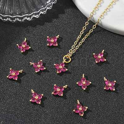SHEGRACE Brass Cubic Zirconia Charms XGRQ4H893-680G-C-1