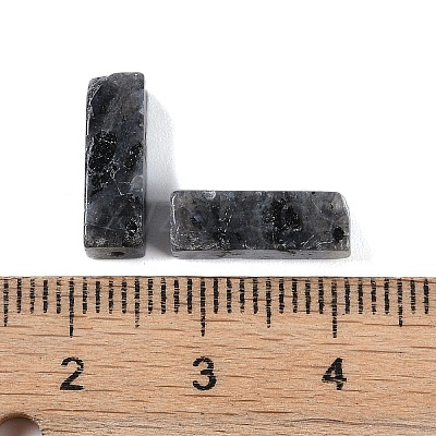 Natural Larvikite Beads LS-G-G137-01M-1