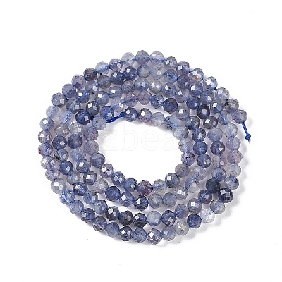 Natural Iolite Beads Strands LS-G-N342-32-1