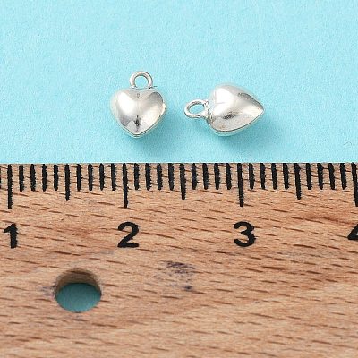 925 Sterling Silver Charms STER-H106-01C-S-1