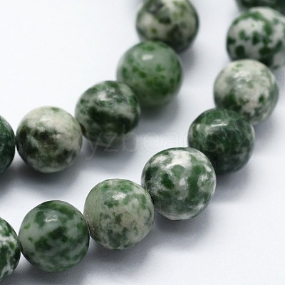 Natural Green Spot Jasper Beads Strands G-I199-30-12mm-1