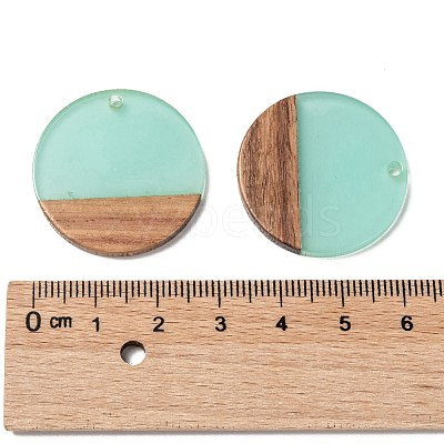 Resin & Wood Pendants X-RESI-S358-02B-03-1