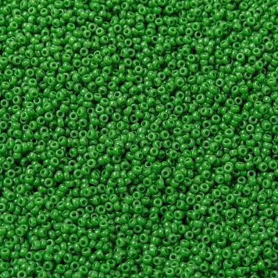MIYUKI Round Rocailles Beads X-SEED-G009-RR0411-1