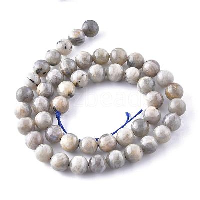 Natural Labradorite Beads Strands X-G-G212-8mm-23-1