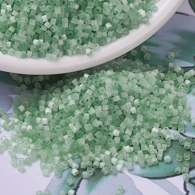 MIYUKI Delica Beads SEED-JP0008-DB0828-1