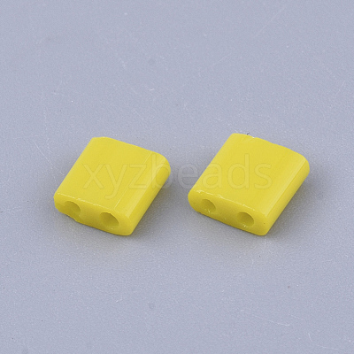 FGB 2-Hole Glass Seed Beads X-SEED-S031-L-042-1