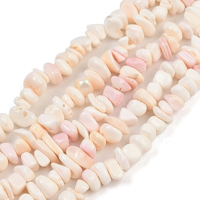 Natural Pink Shell Beads Strands SSHEL-L016-19-1