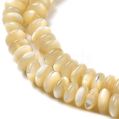 Natural Trochus Shell Beads Strands SHEL-K006-25B-1