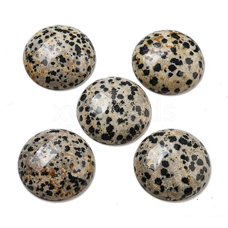 Natural Dalmatian Jasper Cabochons G-C115-02B-21-1