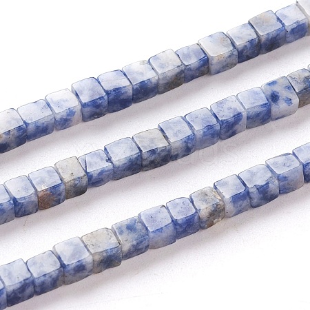 Natural Blue Spot Jasper Beads Strands G-F631-K06-1