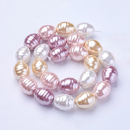 Shell Pearl Beads Strands BSHE-P030-03A-1
