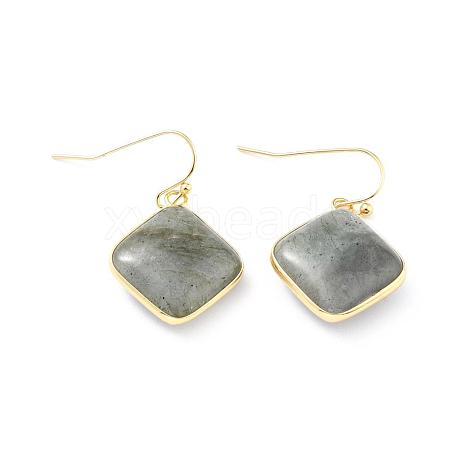 Natural Labradorite Dangle Earrings EJEW-J093-03-1