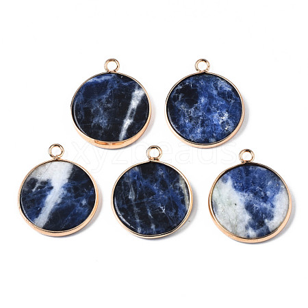 Natural Sodalite Pendants G-Q998-010B-1