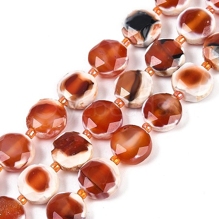 Natural Fire Crackle Agate Beads Strands G-NH0004-050-1