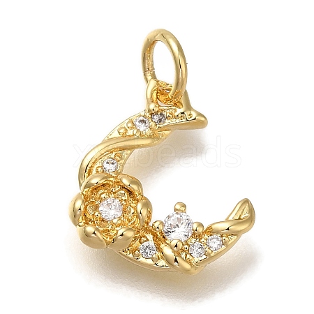 Rack Plating Brass Micro Pave Cubic Zirconia Charms KK-I720-61G-1