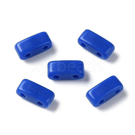 Opaque Acrylic Slide Charms OACR-Z010-02H-1