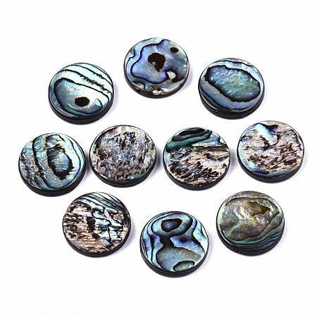 Natural Abalone Shell/Paua Shell Beads SSHEL-T014-14D-1