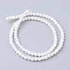 Natural Freshwater Shell Bead Strands SHEL-S249-29-1