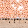 Baking Paint Glass Seed Beads SEED-K010-A14-4