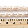 Natural Cultured Freshwater Pearl Beads Strands PEAR-P062-18-5