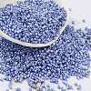 Baking Paint Glass Seed Beads X-SEED-S042-15B-35-1