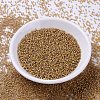 MIYUKI Delica Beads SEED-X0054-DB2043-2