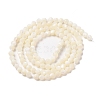 Natural Trochus Shell Beads Strands SHEL-P017-05-2