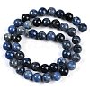 Natural Dumortierite Beads Strands G-G167-A06-8MM-3