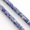 Natural Blue Spot Jasper Bead Strands X-G-R187-06-1