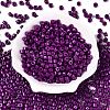 Opaque Baking Paint Glass Seed Beads SEED-T008-02U-2