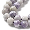 Natural Purple Turquoise Beads Strands G-L595-C04-02-4