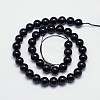 Natural Black Tourmaline Round Bead Strands G-I160-01-10mm-2