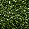 Baking Paint Glass Seed Beads SEED-S042-05A-21-3