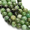 Natural Serpentine Beads Strands G-Z110-C04-8mm-4