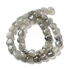 Natural Labradorite Beads Strands G-R190-10mm-35-3