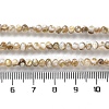 Natural Freshwater Shell Beads Strands SSHEL-B002-18-4