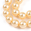 Baking Painted Pearlized Glass Pearl Bead Strands HY-N002-6mm-A09-4